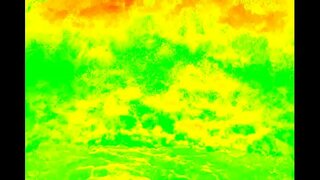 Muntliga färdigheter